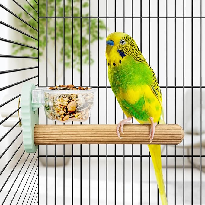 Kathson 3Pcs Bird Perch Feeding Cup Natural Wood Perches with Removable Bird Feeder for Cage Parrot Stand for Parakeets, Budgies, Cockatiels,Parrots, Birds Chewing Stick (Green)