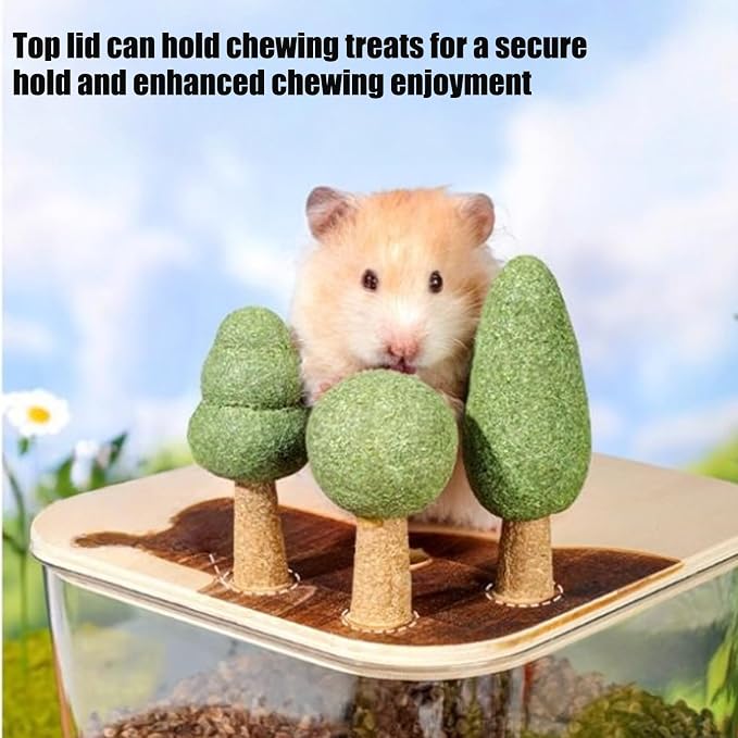 Hamster Sand Bath Box Clear Raised Hamster Toy Cage | Small Animal Shelter Training Observation Projects Playpen Activities for Animal Lovers Living Room Bedroom Study