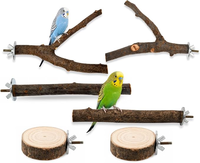 DS. DISTINCTIVE STYLE 6 PCS Bird Perches for Cage | Natural Apple Wood Perch Set with Platforms for Small Birds, Parakeets, Budgies, Cockatiels Climbing, Resting & Foot Exercise