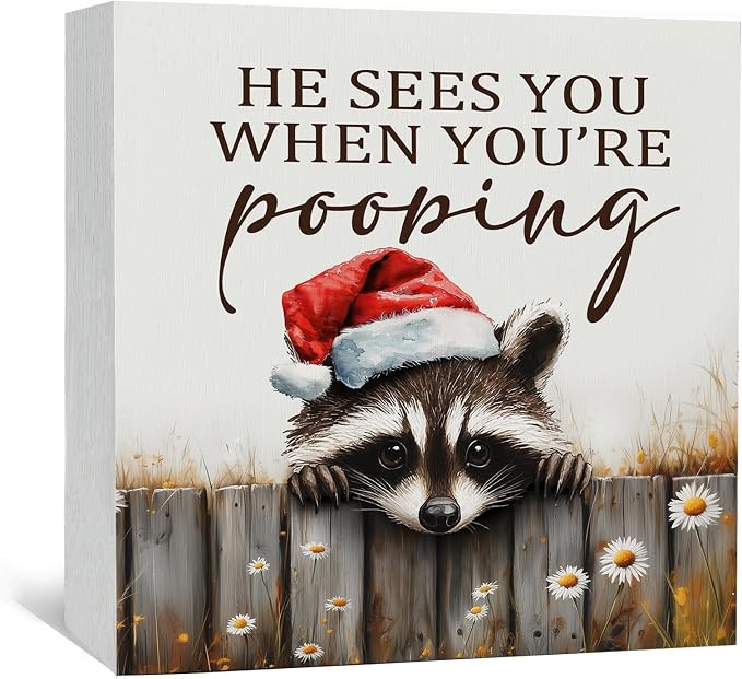 Christmas Raccoon Home Bathroom Decor Sign - Farmhouse Western Christmas Animal Bathroom Decor,Rustic Farm Animal He Sees You When You're Pooping Signs,Raccoon Gifts for Women