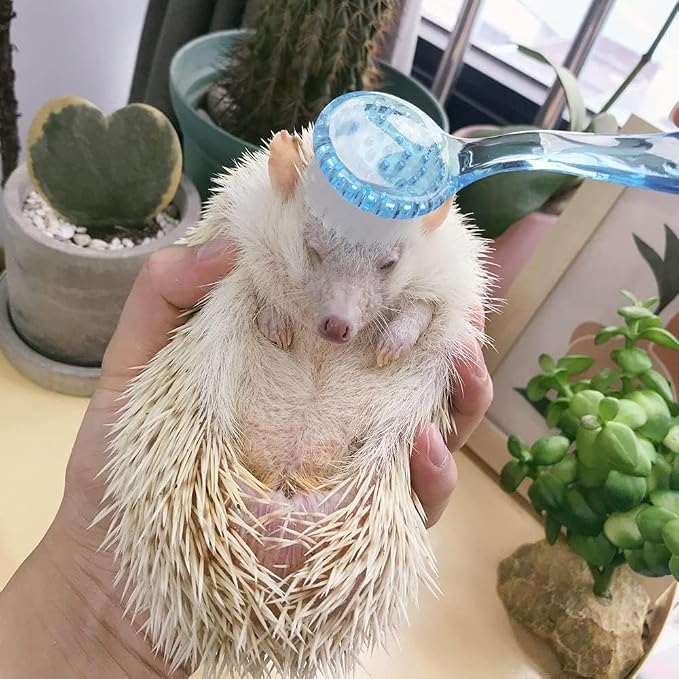 2PC Nail Cleaner Brush Pet Hair Comb Hamster Hair Grooming Cleaning Brushes Pet Animal Bathing Brushes for Guinea Pig Chinchilla Ferret Cleaning Tool (Blue)