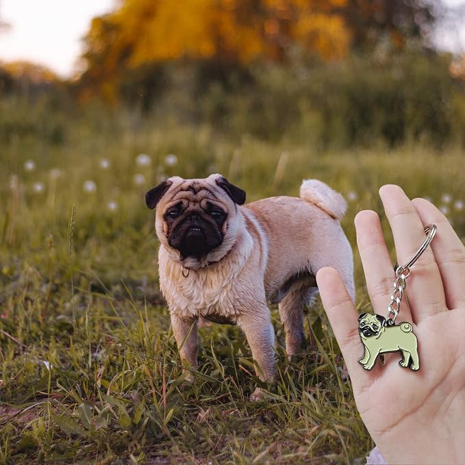 Cute Key chain Pendant Hedgehog Keychain Animal Shape Style Novelty Pineapple Cat Gifts Keyring for Women Men