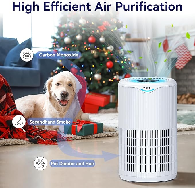 Air Purifiers for Home Large Room Up to 1500 Sq Ft, Tailulu H13 HEPA Air Filter Cleaner, Smoke Dust Pollen, 15dB Sleep Mode Air Purifiers for Bedroom Living Room, Kitchen, Office