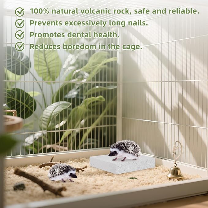 Toddmomy Rabbit Scratching Pad: Natural Lava Pumice Stone Claw & Teeth Grinding Pad for Hamster Guinea Pig Gerbil Small Pet Cage Accessories