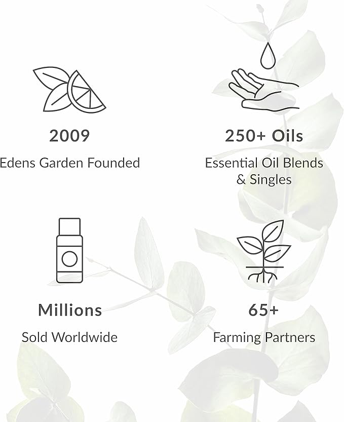Edens Garden Essential Oils Diffuser 3 Set – 100% Pure Therapeutic Grade Aromatherapy Blends - for Natural Relaxation, Energy & Sleep – No Fragrance Oil & Undiluted for Home & Office, 10 ml/ 3 Pack