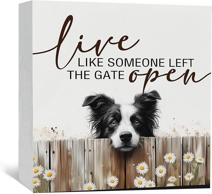 Border Collie Signs - Farm Cottagecore Animal Office Kitchen Bedroom Decor,Rustic Farmhouse Live like Someone Left the Gate Open Home Decor Wooden Signs,Border Collie Gifts for Women,6x6