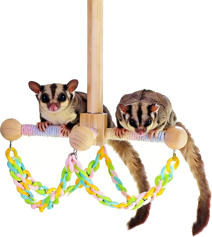 Sugar Glider Climbing Toys Haning Swing Sugar Glider Cage Accessories | Natural Wood Climbing Toys Sugar Glider Accessories Rat Enrichment Toys for Small Animals Rat and Birds(Swing Style)