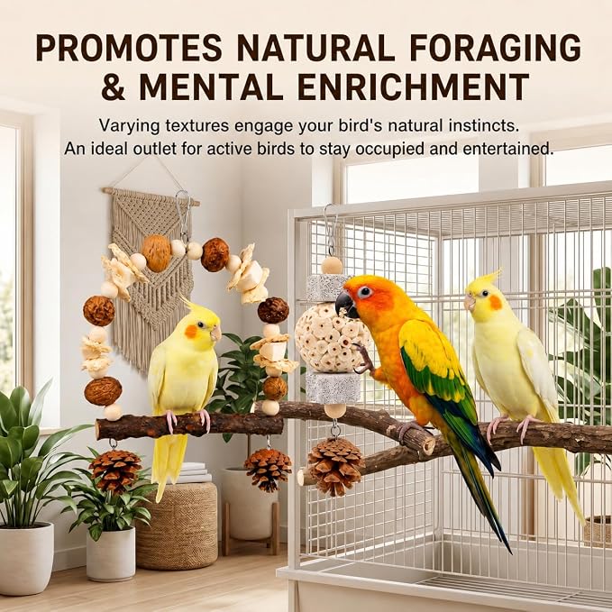 2 Pack Natural Bird Toys Set - Prickly Ash Wood Arch Swing with Walnuts & Cuttlebone - Sola Ball Shreddable Toy with Beak Grinding Pumice Stone, Cage Accessories for Cockatiel, Conure, Parakeets