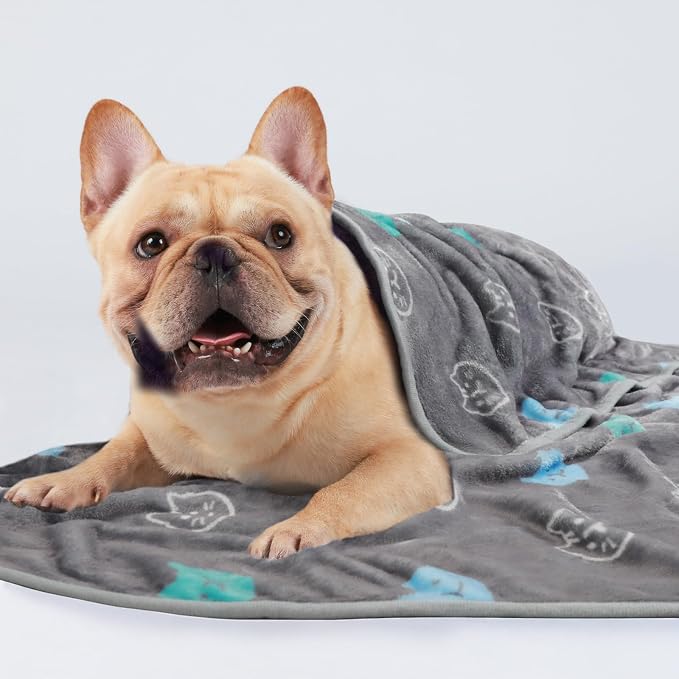 Luciphia 3 Pack Cute Cat Blankets Cozy Small Throw for Pet Puppy,41"x31" | Fuzzy Flannel Small Pet Blanket Washable, Cute Cat Print for Crate Car Bed. Puppy Essential,Cat Stuff Gifts,Large
