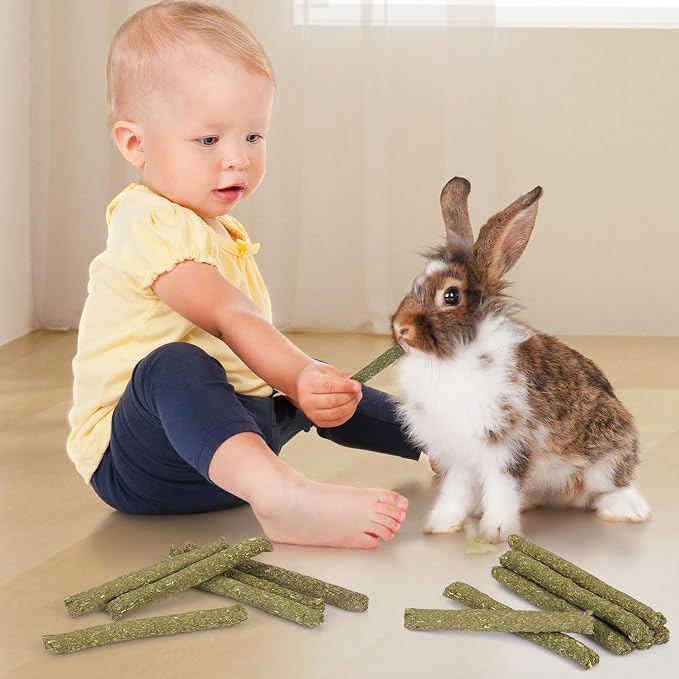 52Pcs Rabbit Chew Sticks, Guinea Pig Toys, Natural Timothy Hay Teeth Stick | Timothy Grass Molar Teeth Stick, Guinea Pig Timothy Hay, Chew Toys for Bunny, Rabbits, Hamsters, Small Animals Treats