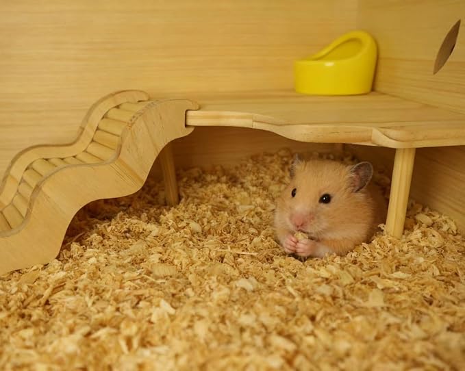 Wooden Hamster Platform for Hamster Cage Accessories Climbing Toys Dwarf Syrian Hamster Gerbil Rat Mice Degus or Other Small Pets (Triangle)