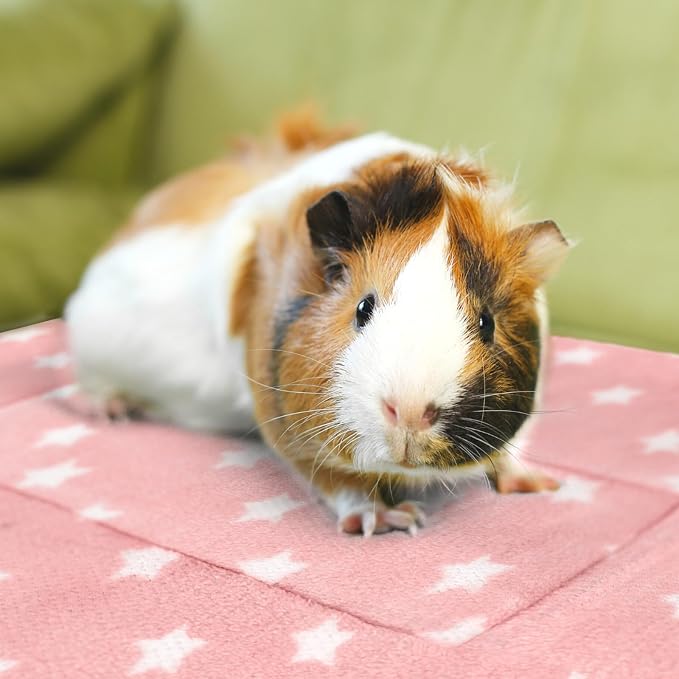 5PCS Guinea Pig Bed, Soft Rabbit Bedding, Fleece Bunny Mat | Warm Plush Cage Liner, Sleeping Blanket for Hamster Ferret Squirrel Hedgehog Rat