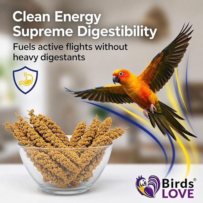 Birds LOVE® 1lb Millet Tips & Tails for Birds – Premium Spray Millet Treat, USA Grown – Natural & Healthy Bird Food for Parakeets, Cockatiels, Budgies, Lovebirds, Finches, Canaries & Parrots – 2 Pack