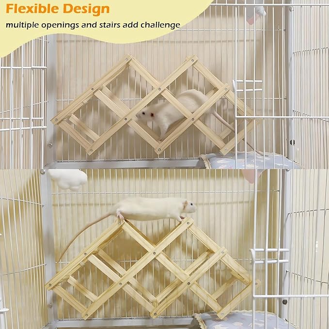 Kiln-Dried Wood Rat Climb Toy, Hanging Cage Ladder Activity (M, 1Pc) | Natural Rat Cage Bridge, Multiple Openings & Directional Ramps Offer Challenges to Satisfy Rats' Instincts for Explore & Play