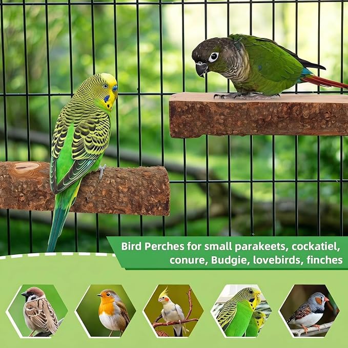 2 Pcs Natural Apple Wood Bird Perch Platform for Cage | Fits Small Parrots (Budgies, Conures) | Flat Top & Bark Underside to Support Foot Health | Tool-Free Mount