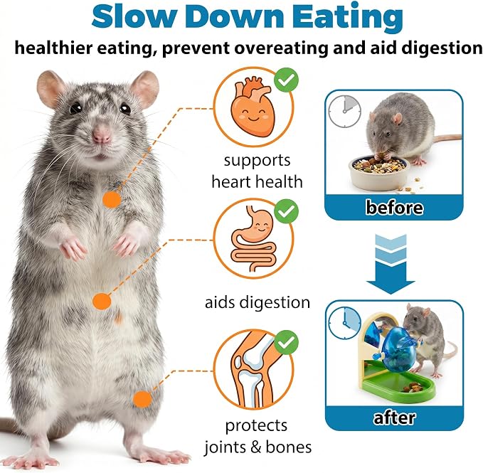 Rat Enrichment Foraging Toy, Intelligent Treat Dispensing Puzzle | Interactive Puzzle Design Inspires Natural Foraging Instincts, Slows Feeding Speed to Relieve Boredom and Anxiety for Rats