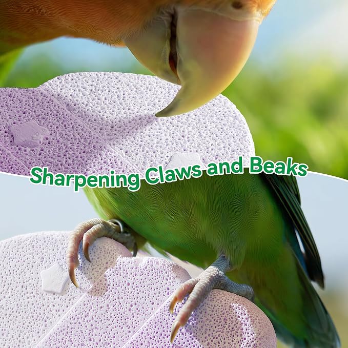 2 Pack Parrot Perch for Cage Bird Beak Grinding Stone, Volcanic Rock Mineral Bird Perch, Parrot Cage Accessories for Parakeets Budgies Cockatiels, Lovebirds Small to Medium Birds