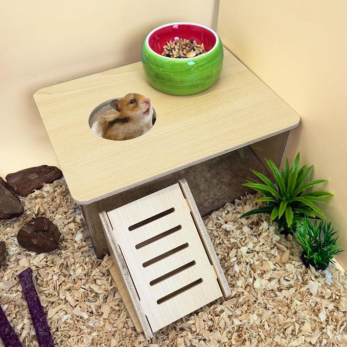 PINVNBY Hamster Sand Bath Box, Transparent Acrylic Sand Bath Shower, Gerbils Digging Room Container with Climbing Ladder and Ceramic Bowl, Litter Box for Hamsters Guinea Pigs Mice (Rectangle)