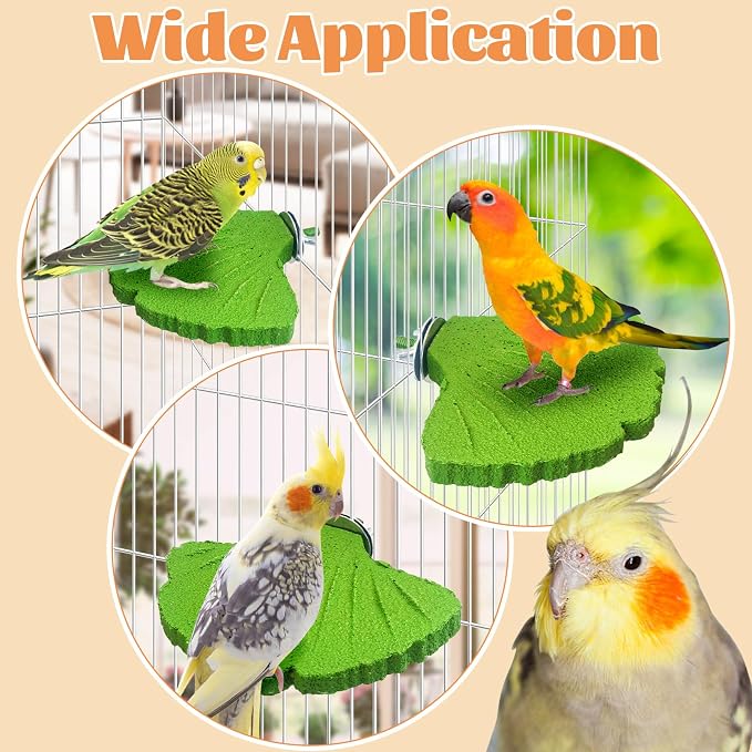 3PCS Bird Perch Bird Beak Grinding Stone with Suction Cups for Small Birds Foot Claws Trimmer Bird Stand Platform Parakeet Cage Perch Parrot Cage Accessories for Indoor Window Viewing (Green)