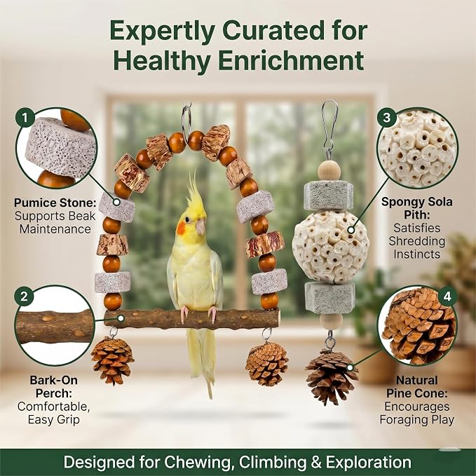 2 Pack Natural Bird Toys Set - Arch Wood Swing & Sola Ball Shreddable Toy - Foraging Hanging Perch with Pine Cones & Pumice Stone Beak Trimmer, Cage Accessories for Cockatiel, Conure, Parakeets