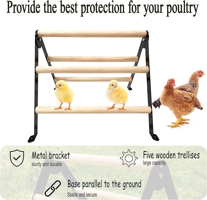 Baby Chick Perch Toys for Coop, Metal Stand with Natural Wooden Roosting Bars,Angle-Adjustable Chicken Coop Toys, Birds Training Platform for Cockatiels, Lovebirds and Parrot,15.7"L x 17.7"W x 13.2"H