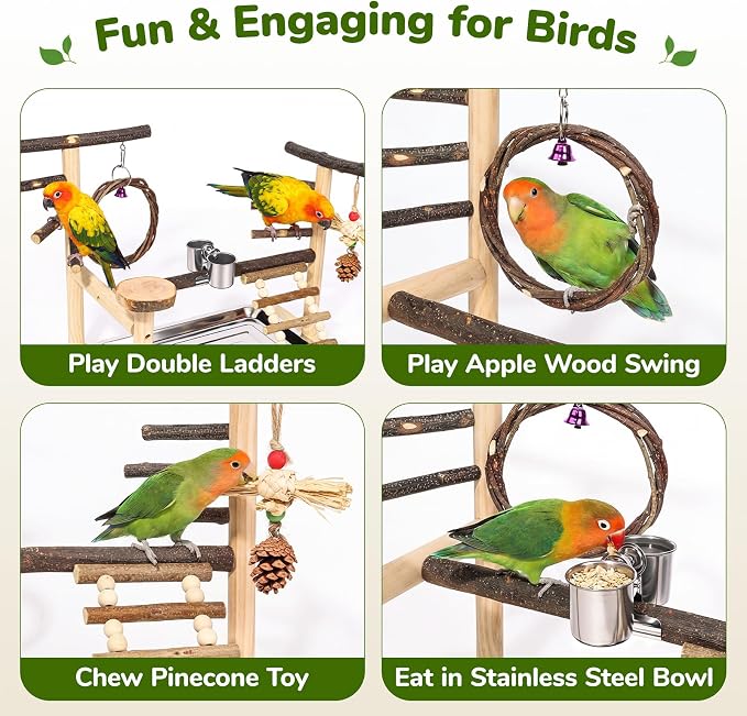 Bird Playground Wooden Parrot Stand for Small to Medium Birds | Feeding Cup, Apple Branch Swing, Chew Toys, Removable Tray, Ideal for Budgerigars, Parakeets, Cockatiels