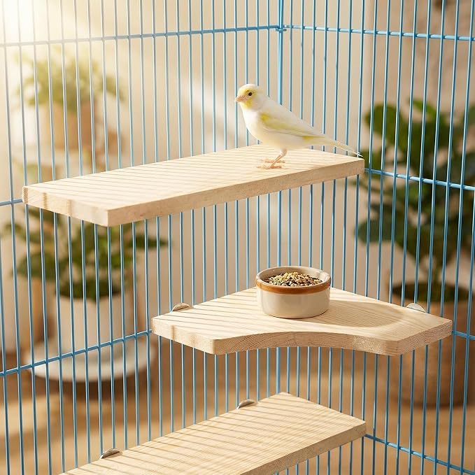 Bird Perch, 3 Pack Bird Playground Woodern Hamster Platform, Cage Accessories for Chinchilla, Parrot, Ferret, Rat, Budgie, Cockatie, Guinea Pig (3*Rectangle)