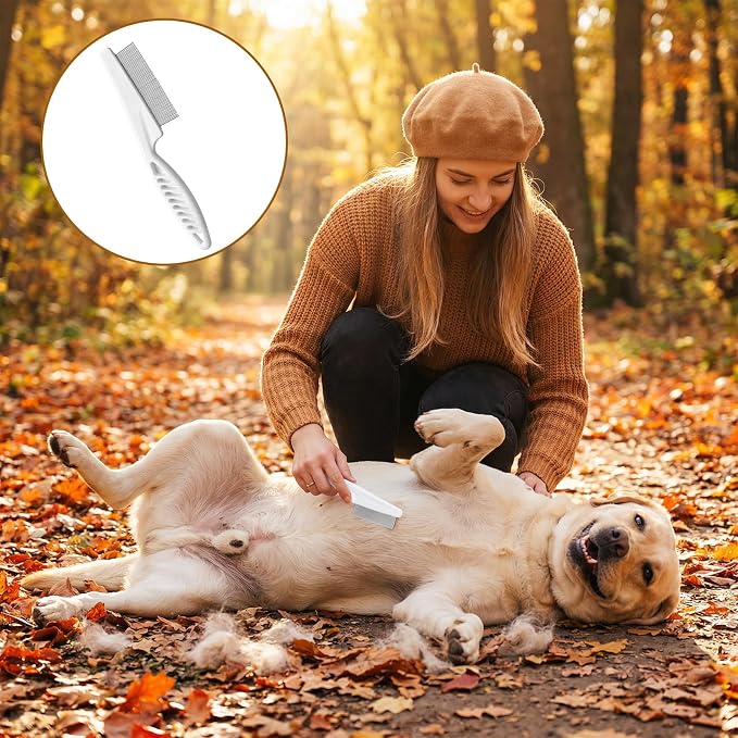 2Pcs Rabbit Brush, Fine-Tooth Stainless Steel Flea Brush for Dogs Rounded Teeth Grooming Metal Comb for Dogs, Chinchillas, Ferrets, Guinea Pigs, Rabbits