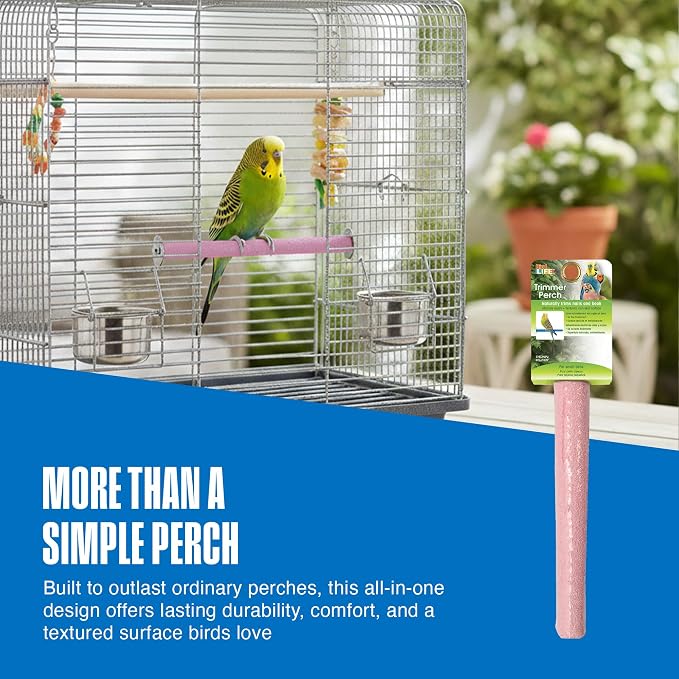 Penn-Plax Bird-Life Cement Trimmer-Perch, Naturally Trims Nails & Beak - Easy-Mounting Bird Perch Stand for Cages - Great for Parrots, Cockatoos, Macaws, Medium & Large Birds - Purple, 10 Inch