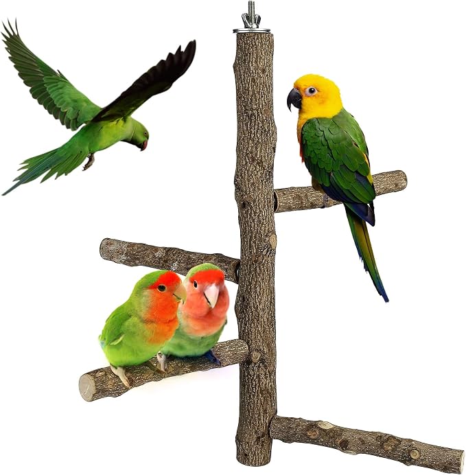 Bird Perch Stand Toy Natural Wood Bird Cage Branch Perch 14 Inch | Natural Wood Perch Stand w/ 4 Branches Bird Cage Inside Accessories Bird Toy for Parakeet Cockatiel Conure Finches Love Birds