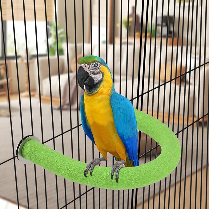 Rypet U-Shaped Large Parrot Perch, Quartz Bird Perch for Cage(Green XL) | Safe Chew & Rest Perch for Large Birds, Durable Non-Toxic Cage Accessory, for Parakeets Cockatiels Conures Macaws