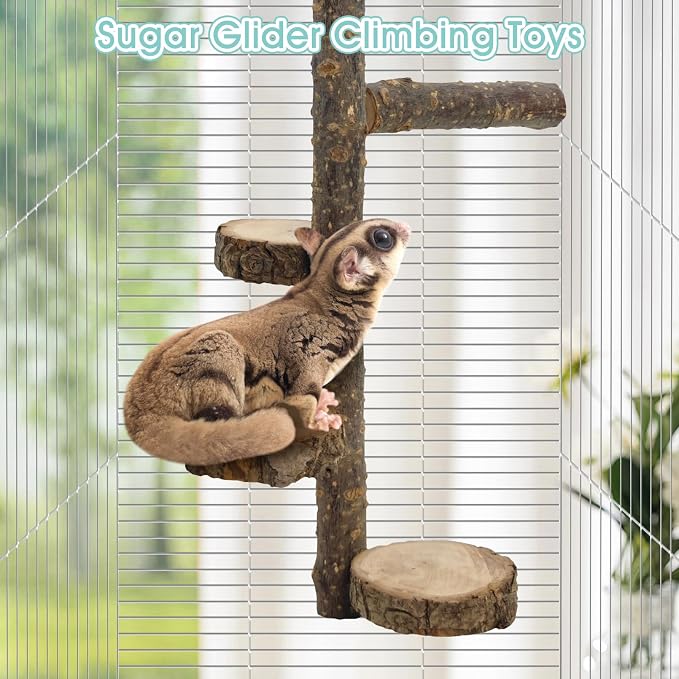 BNOSDM Sugar Glider Toy Natural Fruitwood Round Perch Stand Squirrel Hanging Wooden Climbing Pole Hamster Paw Grinding Perch Small Animal Cage Accessories for Chinchillas Rats Gerbil
