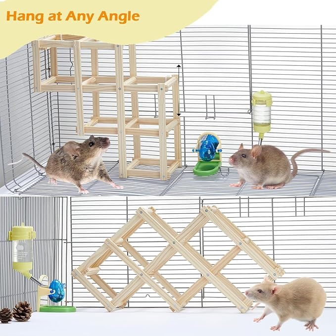 Kiln-Dried Wood Rat Climb Toy, Hanging Cage Ladder Activity (M, 1Pc) | Natural Rat Cage Bridge, Multiple Openings & Directional Ramps Offer Challenges to Satisfy Rats' Instincts for Explore & Play