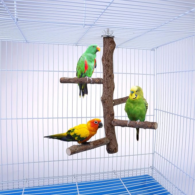 Bird Perch Stand Toy Natural Wood Bird Cage Branch Perch 10 Inch | Natural Wood Perch Stand w/ 4 Branches Bird Cage Inside Accessories Bird Toy for Parakeet Cockatiel Conure Finches Love Birds