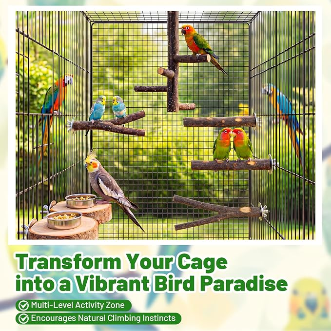 Novabright 6 Pack Natural Wood Bird for Cage Perches Wooden Parrot Stand with Fork Toys Hanging Multi Branch Platform Hanging Grapevine Parrot Perch for Parakeets Budgies Pet Bird Accessories