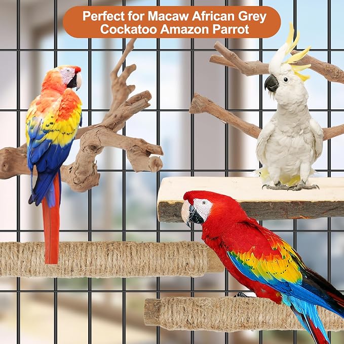 Bird Perch Stand, Pole Standing Natural Wood Bird Perch Set 5PCS Paw Grinding Fork Parrot Cage Branch with Rope for Macaw African Grey Amazon Pet Medium Birds Cage Accessories