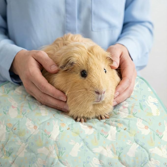 Guinea Pig Cage Liner, 59"x31" Bedding for C&C 2x4 Cage 2 Pack, Green | Washable Fleece Bedding, Super Absorbent, Non-Slip, Waterproof Rabbit Mat, Machine Washable, Small Animal Cage Accessory