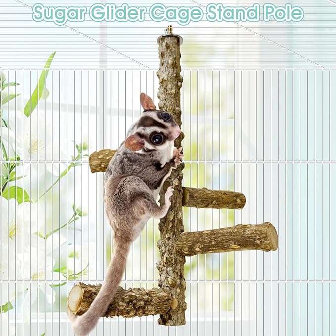 BNOSDM Sugar Glider Toy Natural Prickly Ash Wood Perch Stand Squirrel Hanging Wooden Climbing Pole Hamster Paw Grinding Perch Small Animal Cage Accessories for Chinchillas Rats Gerbil