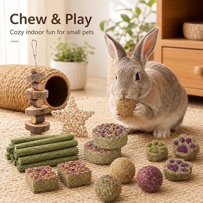 Grddaef Rabbit Toys, Guinea Pig Toys 17Pcs Natural Timothy Hay Bunny Chews and Treats for Hamster Chinchilla Gerbil