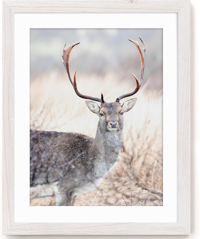 22x28 Picture Frame, Solid Elm Wood Picture Frame with Real Glass, Large Rustic Poster Frame 22"x28", matted to 18x24, 22 by 28 Wooden Frame for Vertical & Horizontal Wall Hanging, White, 1 Pack