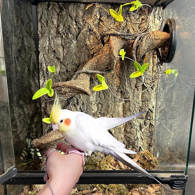 Natural Cork Perch, Bird Cork Seat Boards, Cork Bark Toy, Parrot Chewing Toy Bird Cork Perch Stand for Bird Budgie Parrot Cockatiel Hamster Guinea Pig Rat (1PCS, 30 x 40cm)
