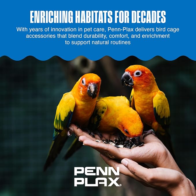Penn-Plax Bird-Life Cement Trimmer-Perch, Naturally Trims Nails & Beak - Easy-Mounting Bird Perch Stand for Cages - Great for Parrots, Cockatoos, Macaws, Medium & Large Birds - Purple, 10 Inch