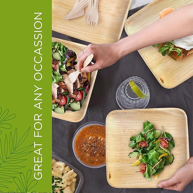 6 Inch 40 Square Palm Leaf Plates – Compostable, Biodegradable, Eco-Friendly – Like Bamboo Disposable Plates for Party, Wedding, Picnic – Sturdy, Heat Proof & Leak Proof