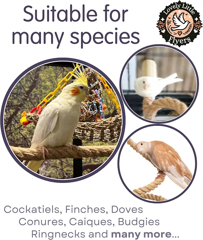 Bird Rope Perch for Parrots, Bendable Natural Jute Boing with Pine Wood and Stainless Steel Mount, Cotton Alternative, Cage Accessory for Parrots (Brown, 2 feet)
