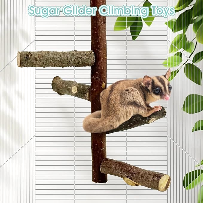 Sugar Glider Toy Natural Fruitwood Perch Stand Squirrel Hanging Wooden Climbing Pole Hamster Paw Grinding Perch Small Animal Cage Accessories for Chinchillas Rats Gerbil