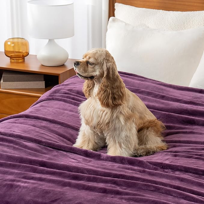 Berkshire Blanket Classic VelvetLoft® Solid Throw Blanket, Lightweight Soft Fuzzy Plush Throw Blanket for Bed and Couch, Eggplant Purple, 50x60 Inches