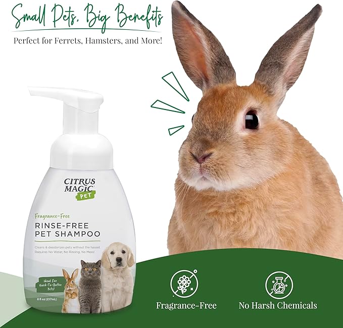 Citrus Magic Pet Rinse-Free Pet Shampoo, 8 Fluid Ounce | Conditions & Deodorizes Coats, Ideal for Dogs, Cats, Ferrets, Hamsters, Rabbits, Kittens