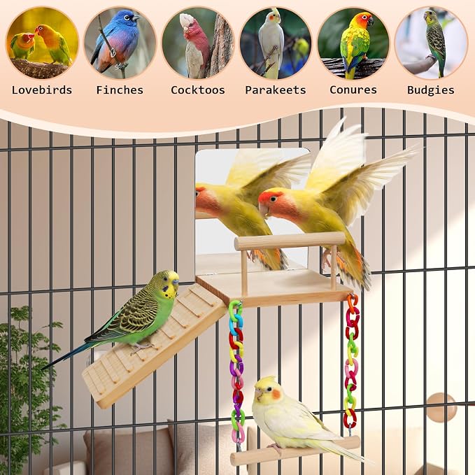 Bird Perches Swing Platform with Bird Mirror Birds Ladder Toys | Climbing Ladder Cage Accessories for Cocktail, Budgie, Lovebirds, Parrotlets Play Gym Exercise Stand (with Mirror)