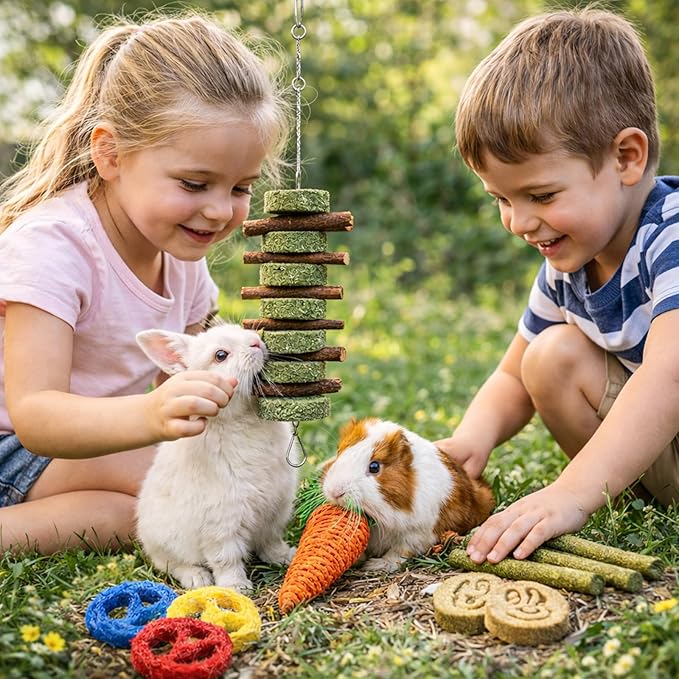 Grddaef 20 PCS Bunny Chew Toys for Teeth, Natural Rabbit Toys Apple Wood Grass Timothy Sticks Chew and Treat for Guinea Pigs Hamster Chinchillas