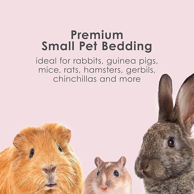 Kaytee Clean & Cozy Colors, Small Animal Bedding with Extreme Odor Control, Plum, 24.6 Liters